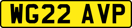 WG22AVP