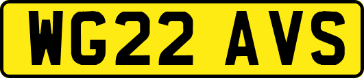 WG22AVS