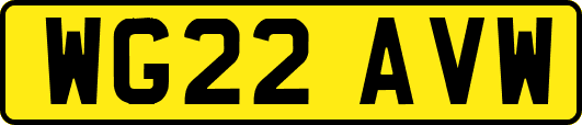 WG22AVW