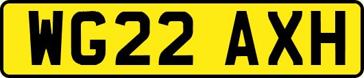 WG22AXH