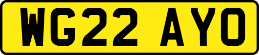 WG22AYO
