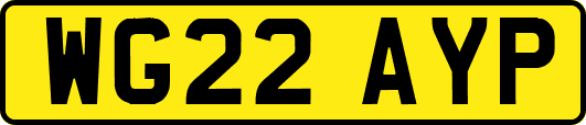 WG22AYP