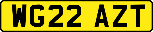 WG22AZT