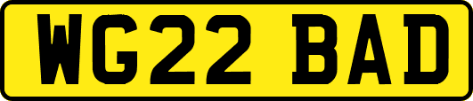 WG22BAD