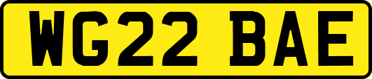 WG22BAE