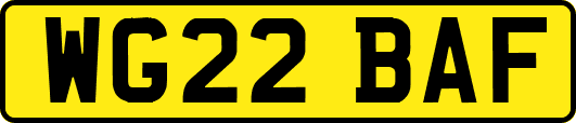 WG22BAF