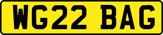 WG22BAG