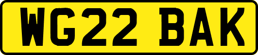 WG22BAK