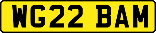 WG22BAM