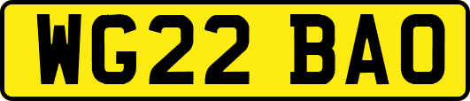 WG22BAO