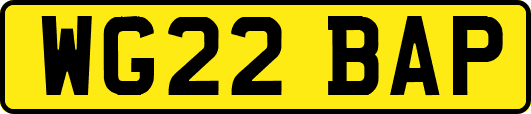 WG22BAP