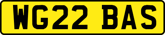 WG22BAS