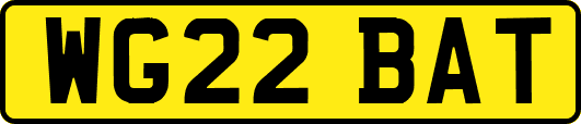 WG22BAT