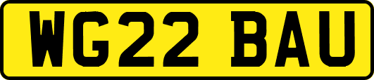 WG22BAU