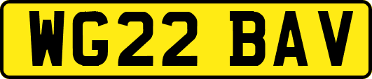 WG22BAV