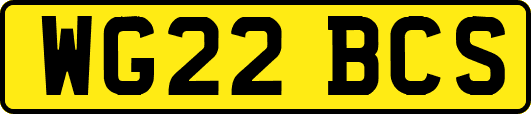 WG22BCS