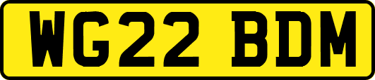 WG22BDM