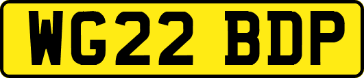 WG22BDP