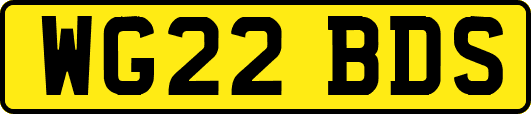 WG22BDS