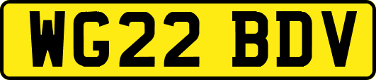 WG22BDV