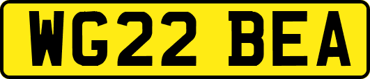 WG22BEA