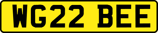 WG22BEE