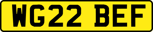 WG22BEF