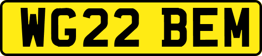 WG22BEM