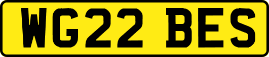 WG22BES