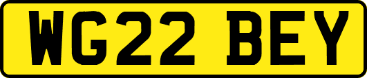 WG22BEY