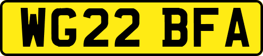 WG22BFA
