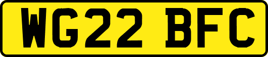 WG22BFC