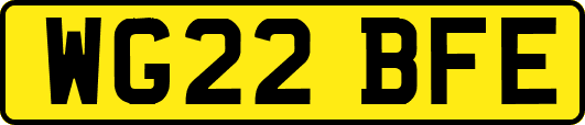 WG22BFE