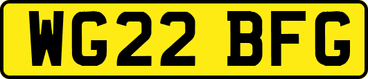 WG22BFG