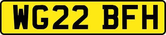 WG22BFH
