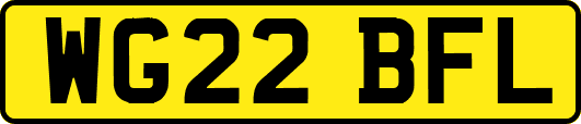 WG22BFL