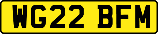 WG22BFM