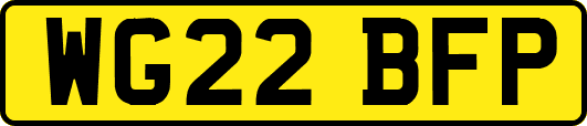 WG22BFP
