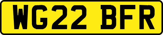 WG22BFR