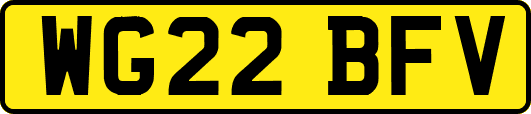 WG22BFV