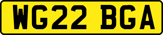 WG22BGA