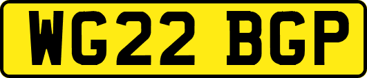 WG22BGP
