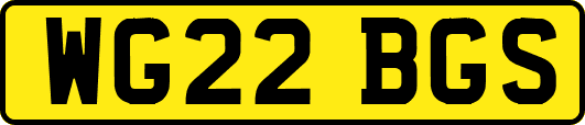 WG22BGS