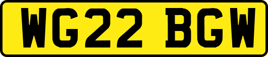 WG22BGW