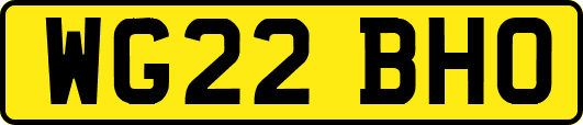 WG22BHO