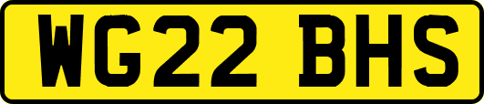 WG22BHS