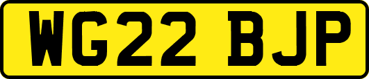 WG22BJP