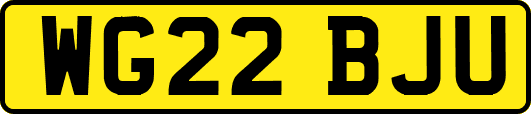 WG22BJU