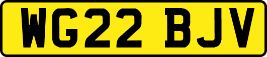 WG22BJV