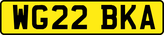 WG22BKA